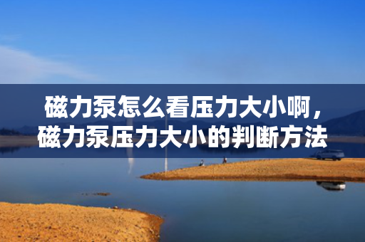 磁力泵怎么看压力大小啊，磁力泵压力大小的判断方法与技巧