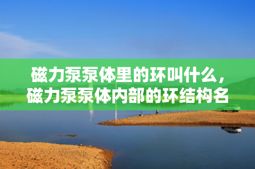 磁力泵泵体里的环叫什么，磁力泵泵体内部的环结构名称解析