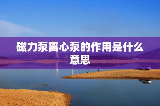 磁力泵离心泵的作用是什么意思
