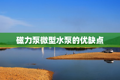 磁力泵微型水泵的优缺点