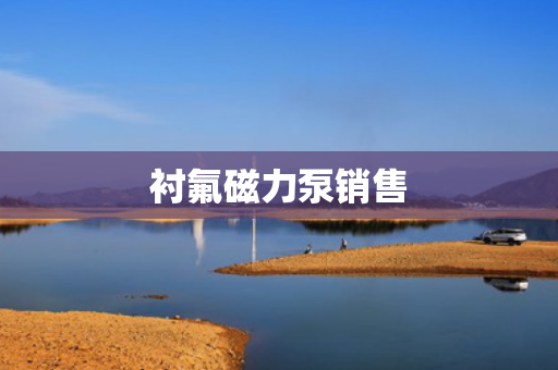 衬氟磁力泵销售
