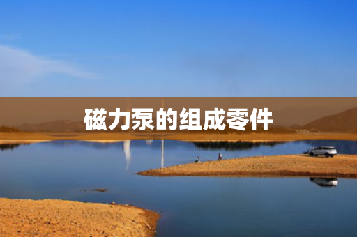 磁力泵的组成零件