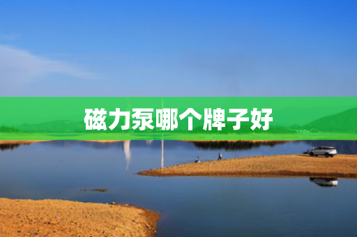 磁力泵哪个牌子好