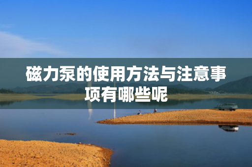磁力泵的使用方法与注意事项有哪些呢