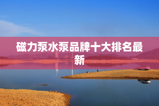 磁力泵水泵品牌十大排名最新
