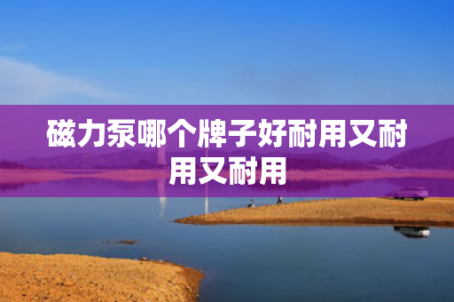 磁力泵哪个牌子好耐用又耐用又耐用