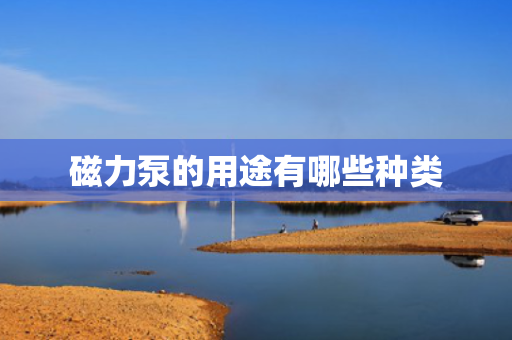 磁力泵的用途有哪些种类