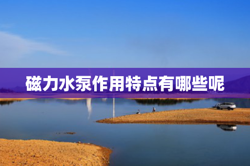 磁力水泵作用特点有哪些呢