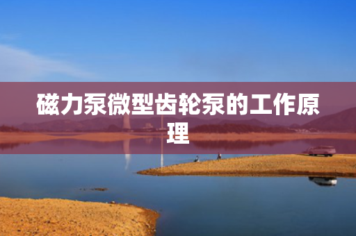 磁力泵微型齿轮泵的工作原理