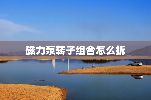 磁力泵转子组合怎么拆