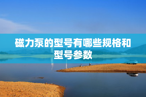 磁力泵的型号有哪些规格和型号参数