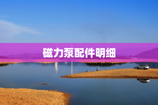 磁力泵配件明细