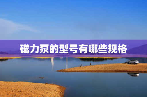 磁力泵的型号有哪些规格