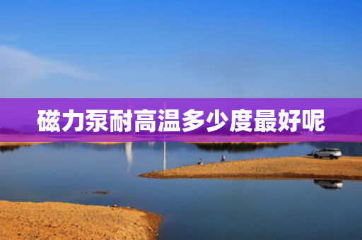 磁力泵耐高温多少度最好呢
