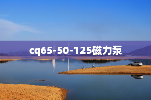 cq65-50-125磁力泵