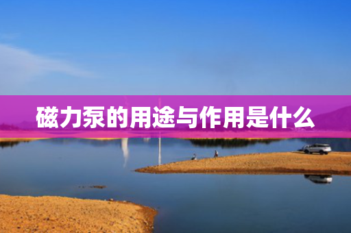 磁力泵的用途与作用是什么