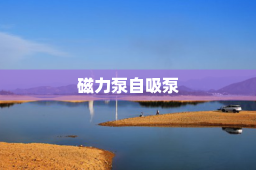 磁力泵自吸泵
