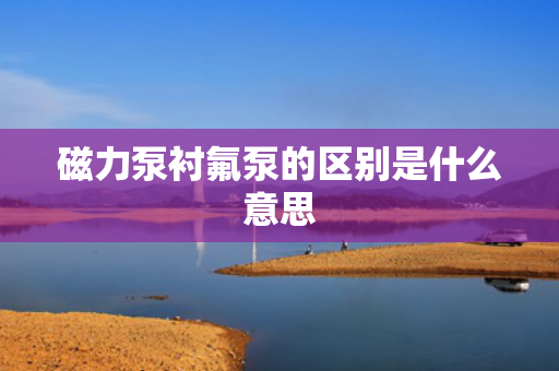 磁力泵衬氟泵的区别是什么意思