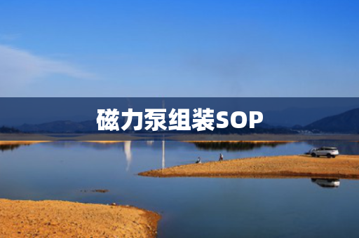 磁力泵组装SOP