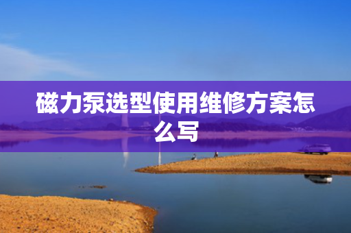 磁力泵选型使用维修方案怎么写