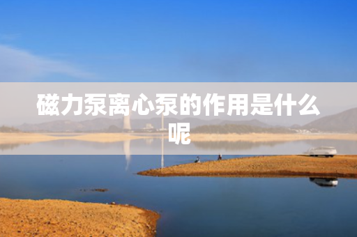 磁力泵离心泵的作用是什么呢