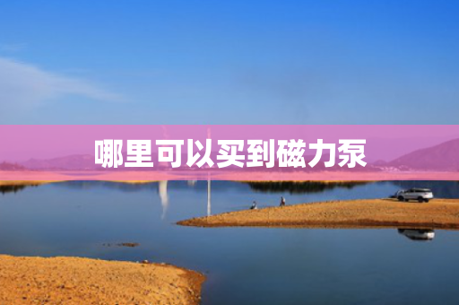 哪里可以买到磁力泵