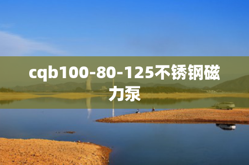 cqb100-80-125不锈钢磁力泵