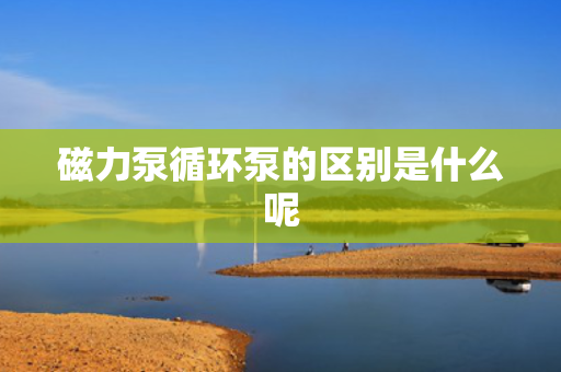 磁力泵循环泵的区别是什么呢