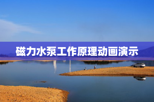 磁力水泵工作原理动画演示