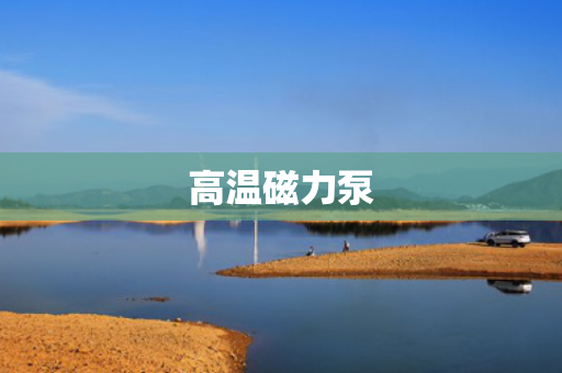 高温磁力泵