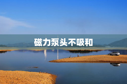 磁力泵头不吸和