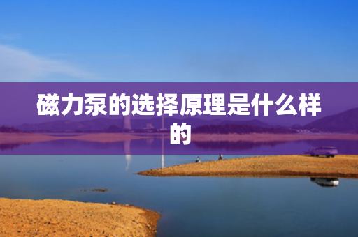 磁力泵的选择原理是什么样的