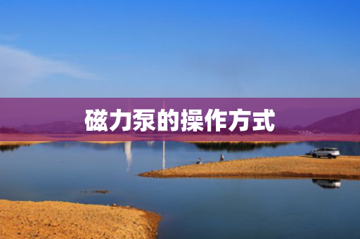 磁力泵的操作方式