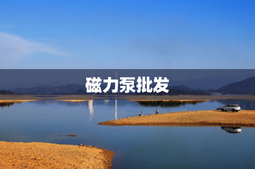 磁力泵批发