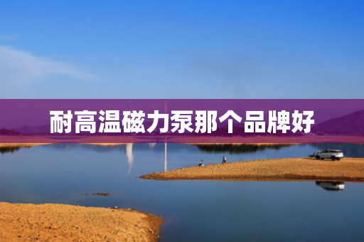 耐高温磁力泵那个品牌好