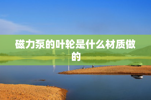 磁力泵的叶轮是什么材质做的