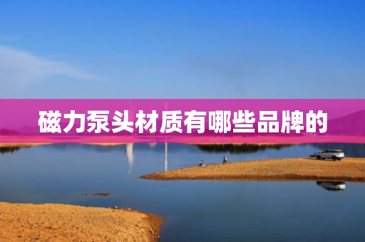 磁力泵头材质有哪些品牌的