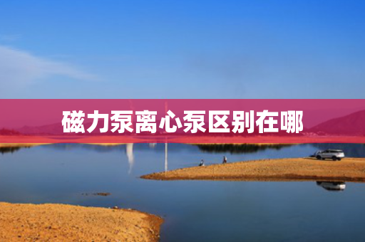 磁力泵离心泵区别在哪