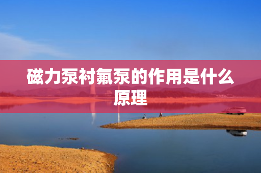 磁力泵衬氟泵的作用是什么原理