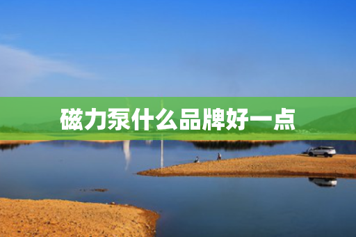 磁力泵什么品牌好一点