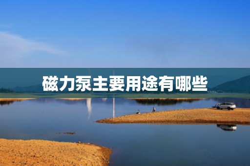 磁力泵主要用途有哪些