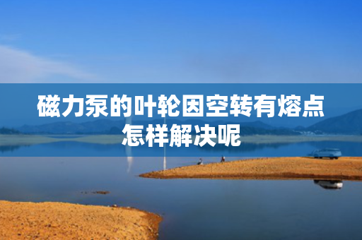 磁力泵的叶轮因空转有熔点怎样解决呢