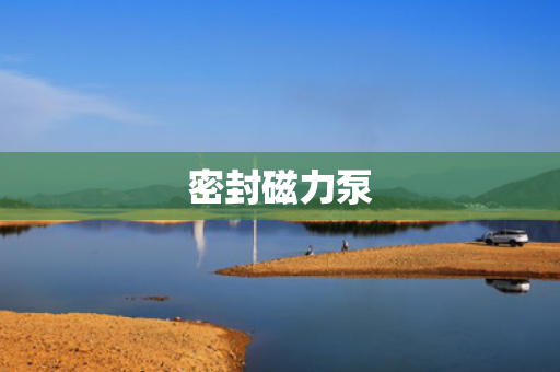 密封磁力泵