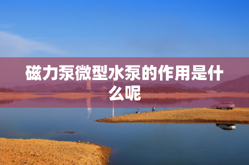 磁力泵微型水泵的作用是什么呢