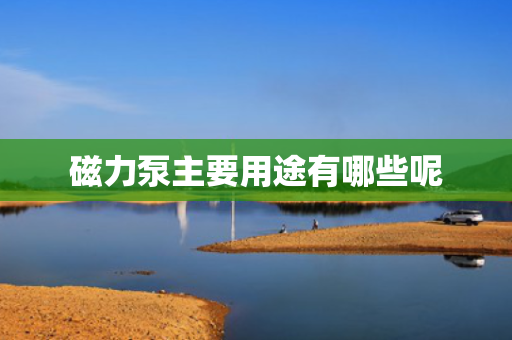 磁力泵主要用途有哪些呢