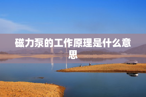 磁力泵的工作原理是什么意思