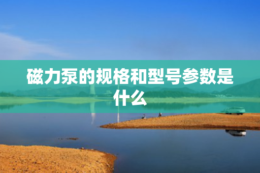 磁力泵的规格和型号参数是什么
