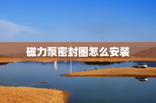 磁力泵密封圈怎么安装