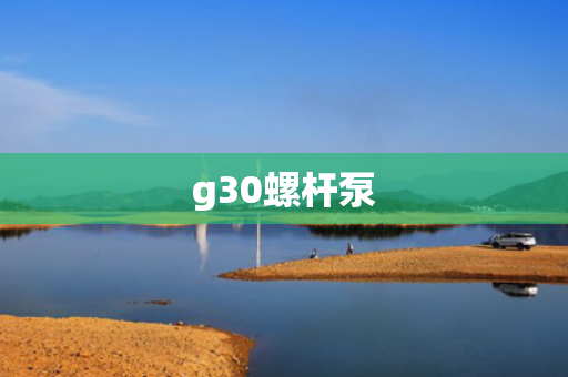 g30螺杆泵