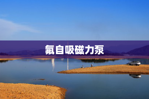 氟自吸磁力泵